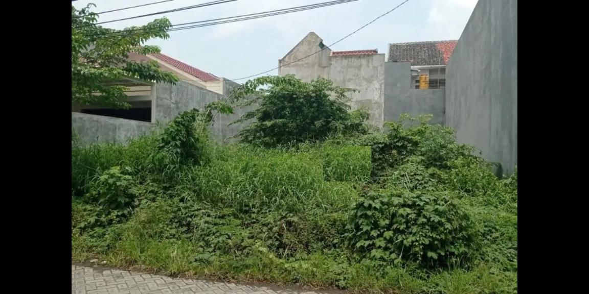 Tanah Luas Siap Bangun di Marina Emas Timur Surabaya Tanah Luas Siap Bangun di Marina Emas Timur Surabaya