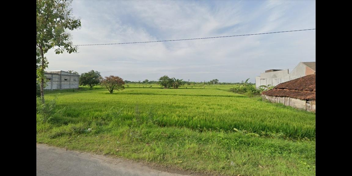 Jual Tanah Kavling Industri Nol Jalan Raya Balongpanggang Gresik Jual Tanah Kavling Industri Nol Jalan Raya Balongpanggang Gresik