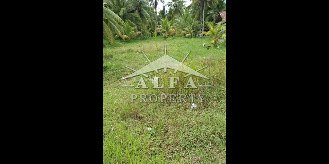 Tanah Jalan Mempawah Hilir Kalimantan Barat Dijual Tanah Jalan Mempawah Hilir Kalimantan Barat Dijual