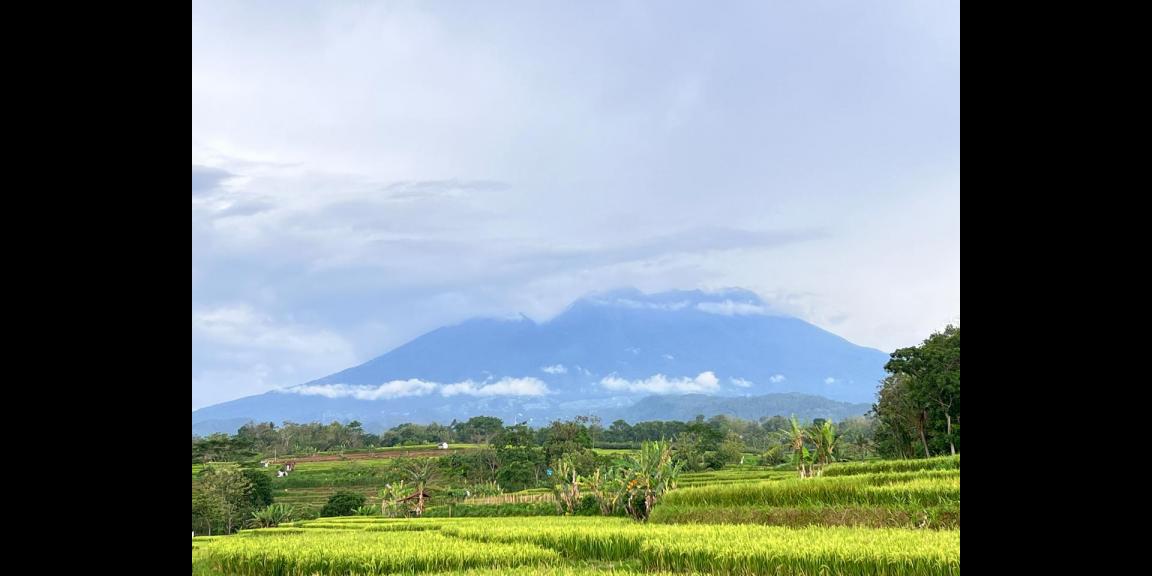 Tanah Sawah 3592m² View Gunung Kerjo Karanganyar Tanah Sawah 3592m² View Gunung Kerjo Karanganyar
