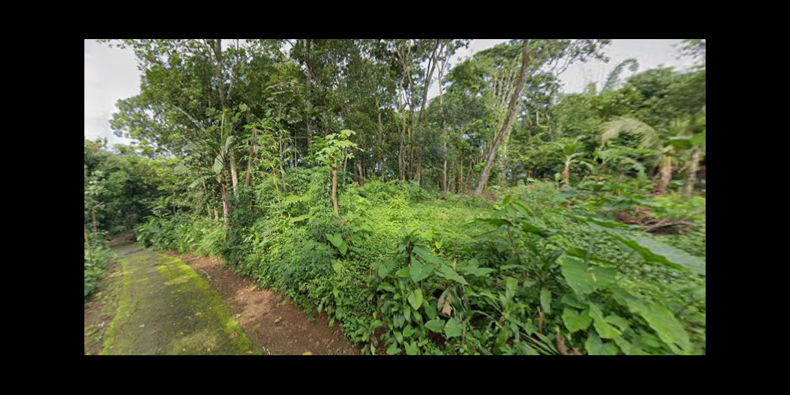 Tanah Datar 1471m² Barat Pasar Karangpandan  Tanah Datar 1471m² Barat Pasar Karangpandan