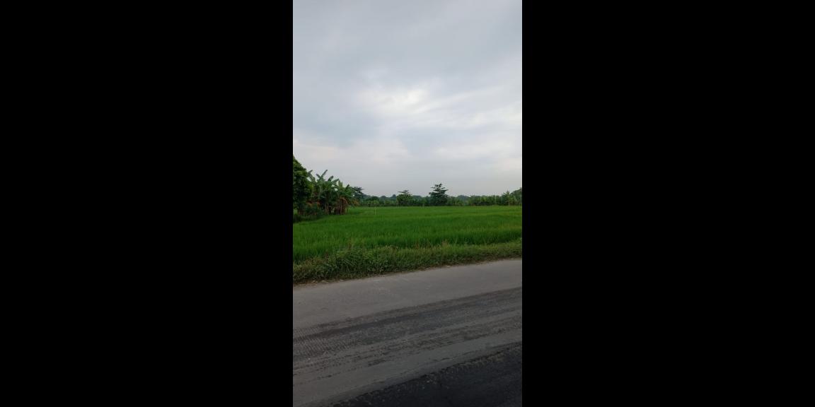 Jual Tanah Industri daerah Lebaksono daerah Pungging Jual Tanah Industri daerah Lebaksono daerah Pungging