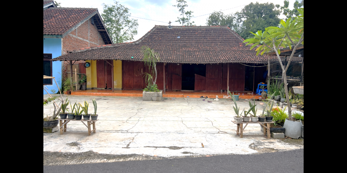 Tanah 1010m² Bonus Rumah Kedawung Sragen Tanah 1010m² Bonus Rumah Kedawung Sragen