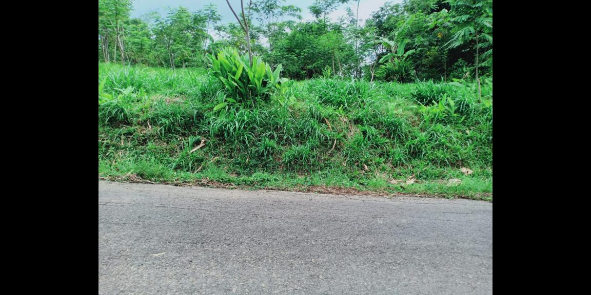 Dijual Tanah 3512m² View Hamparan Kebun Teh Kemuning Dijual Tanah 3512m² View Hamparan Kebun Teh Kemuning