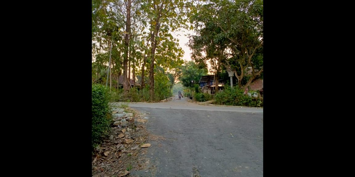 Dijual Tanah Kebun Jati 1071m² Sragen Dijual Tanah Kebun Jati 1071m² Sragen