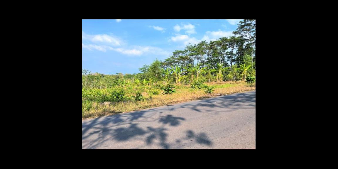 Dijual Tanah Strategis 1 Hektar Kerjo Karanganyar Dijual Tanah Strategis 1 Hektar Kerjo Karanganyar