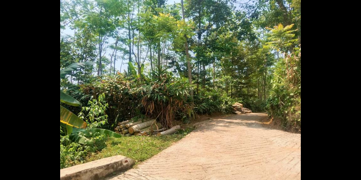 Dijual Tanah 2570m2 Dekat Candi Cetho Karanganyar  Dijual Tanah 2570m2 Dekat Candi Cetho Karanganyar