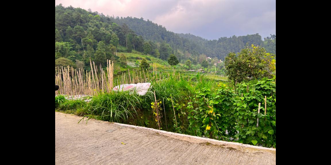 Dijual Tanah 410m² Dekat Candi Sukuh Kemuning Dijual Tanah 410m² Dekat Candi Sukuh Kemuning