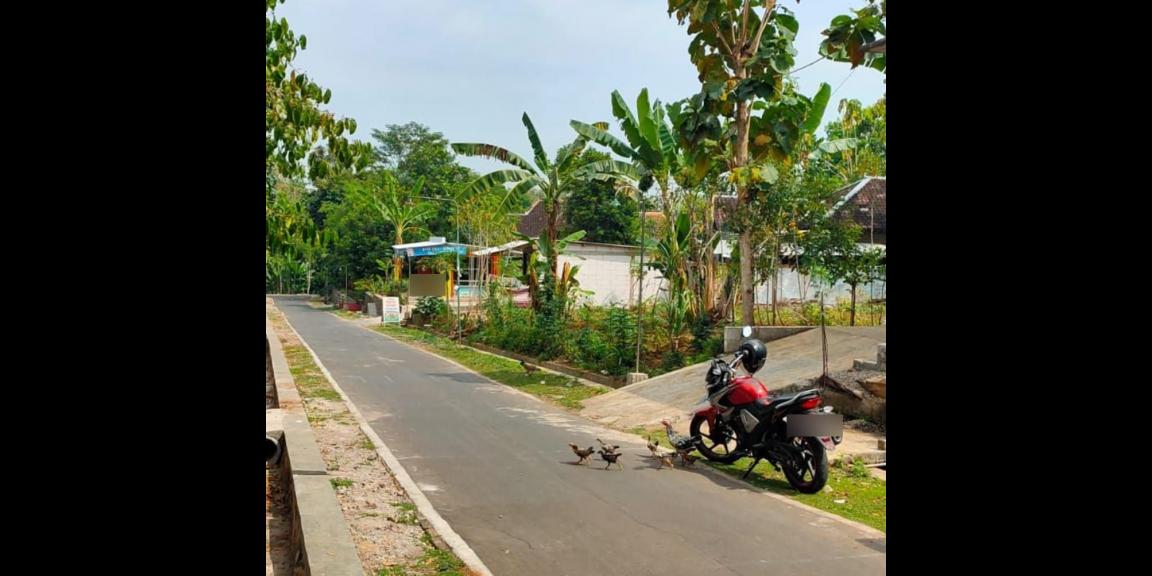 Jual Tanah 114m2 Karanganyar Kota Jual Tanah 114m2 Karanganyar Kota