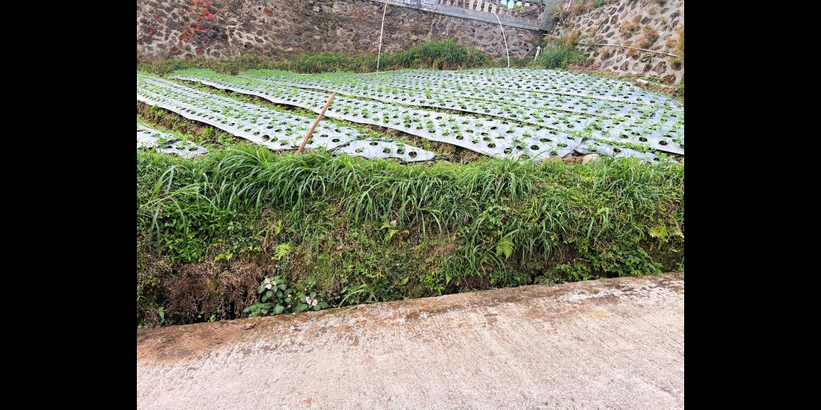 Tanah Dekat Bumi Perkemahan Kemuning Karanganyar Tanah Dekat Bumi Perkemahan Kemuning Karanganyar