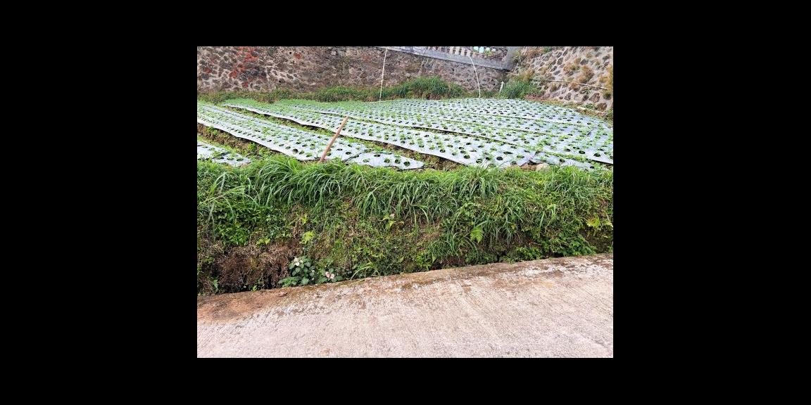 Dijual Cepat Tanah 187m2 Kemuning Karanganyar Dijual Cepat Tanah 187m2 Kemuning Karanganyar