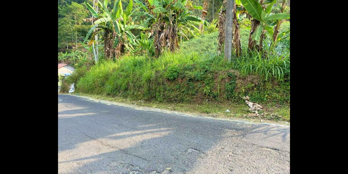Tanah Dekat Jembatan Kaca Kemuning Karanganyar Tanah Dekat Jembatan Kaca Kemuning Karanganyar