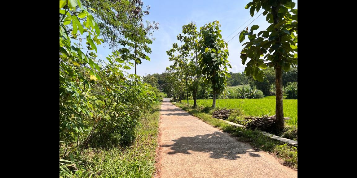 Tanah Seluas ini Hanya 150 Juta Karanganyar Tanah Seluas ini Hanya 150 Juta Karanganyar