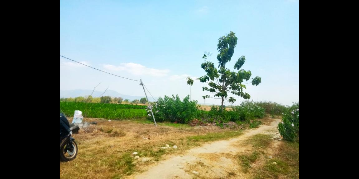 Tanah Zona Industri 41 Hektar Sukoharjo Tanah Zona Industri 41 Hektar Sukoharjo