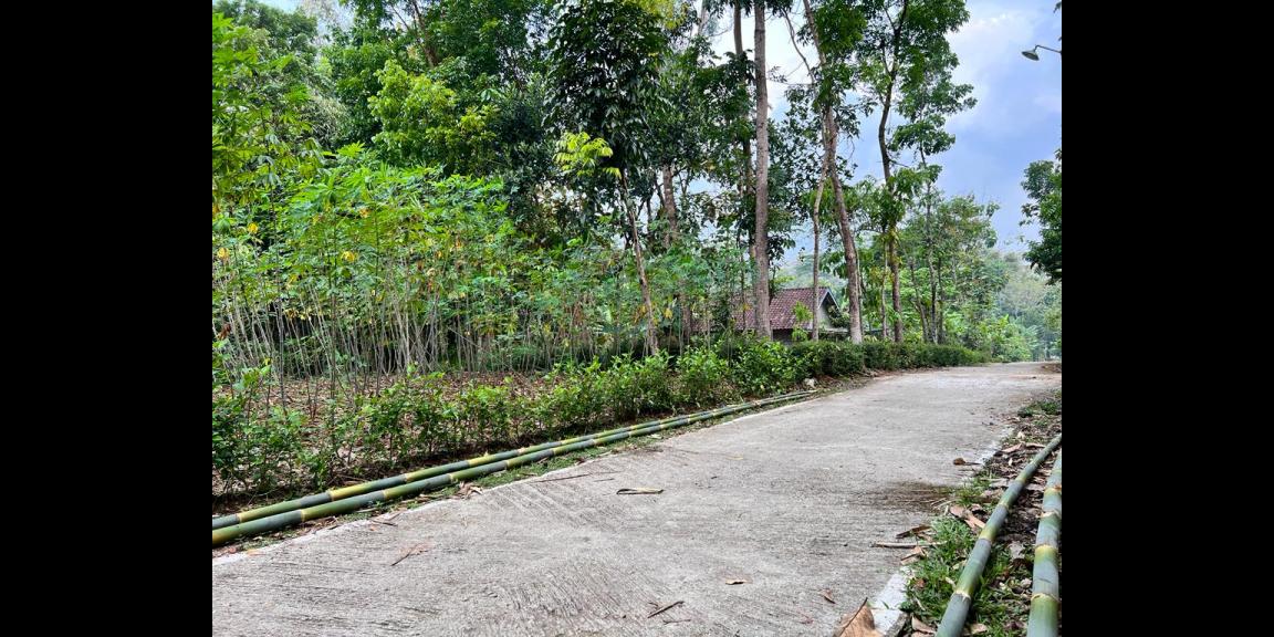 Tanah Kebun Durian 1000m² Mojogedang Karanganyar Tanah Kebun Durian 1000m² Mojogedang Karanganyar