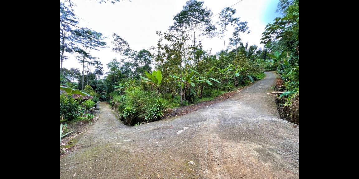 Tanah Kebun Jambu Kemuning Karanganyar Tanah Kebun Jambu Kemuning Karanganyar