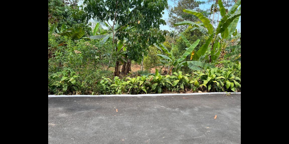 Tanah 2000m² Barat Pasar Kemuning Ngargoyoso Karanganyar Tanah 2000m² Barat Pasar Kemuning Ngargoyoso Karanganyar