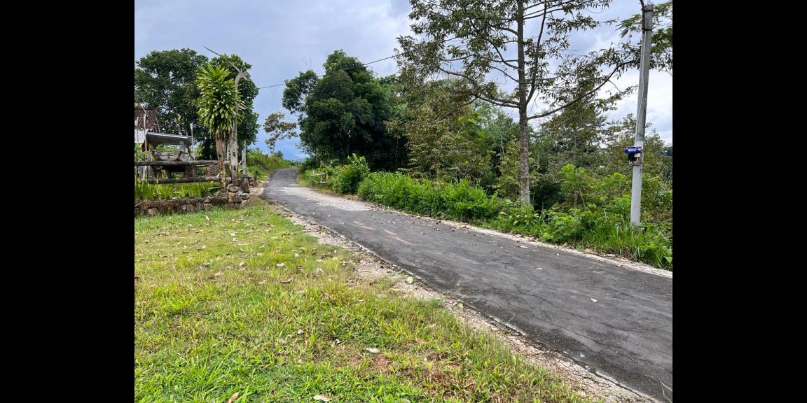 Tanah Cocok Untuk Villa Bonus Kebun Durian Karangpandan Tanah Cocok Untuk Villa Bonus Kebun Durian Karangpandan