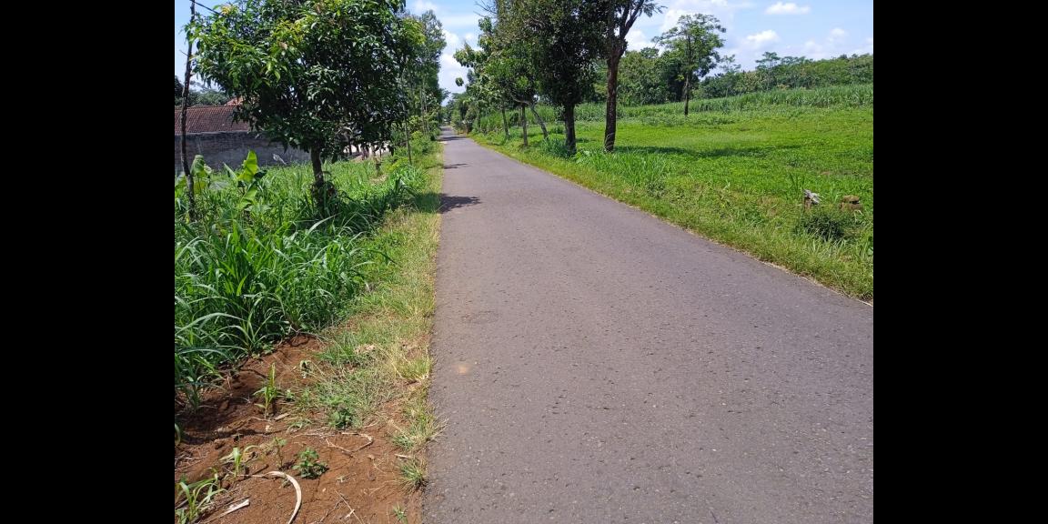 Dijual Tanah 11 Hektar Karanganyar Dijual Tanah 11 Hektar Karanganyar