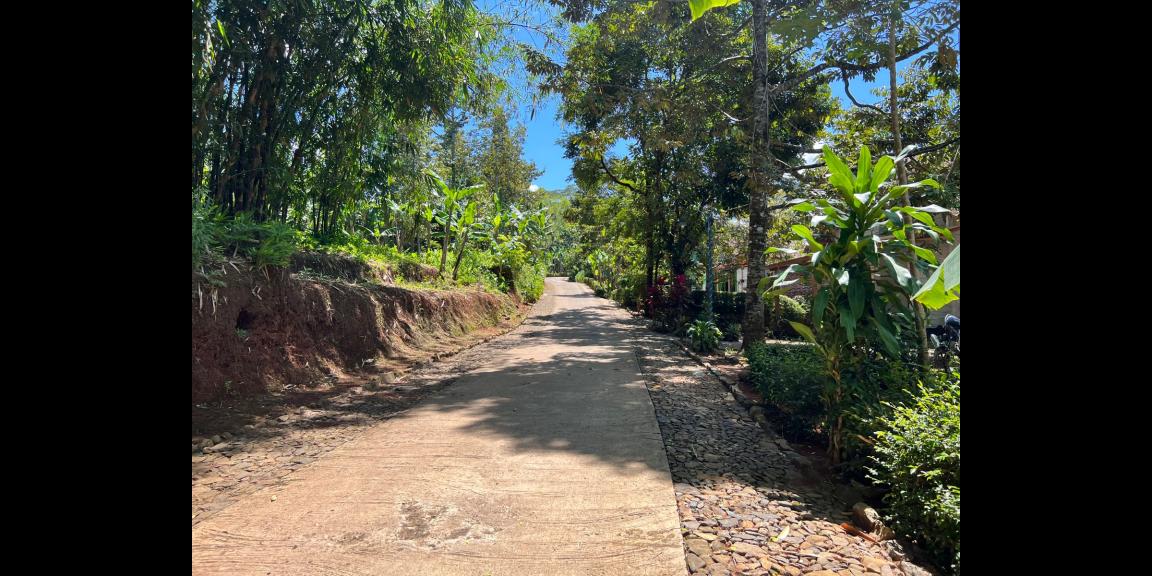 Dijual Tanah Bonus Kebun Durian Mojogedang Karanganyar Dijual Tanah Bonus Kebun Durian Mojogedang Karanganyar