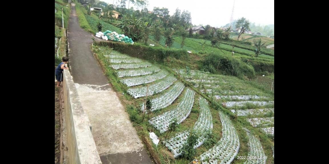 Tanah Istimewa Tawangmangu Karanganyar Tanah Istimewa Tawangmangu Karanganyar