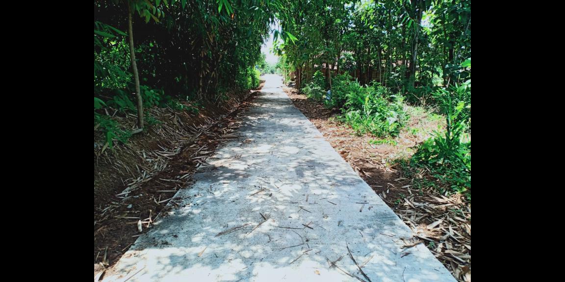 Dijual Tanah Pekarangan Karangpandan Karanganyar Dijual Tanah Pekarangan Karangpandan Karanganyar