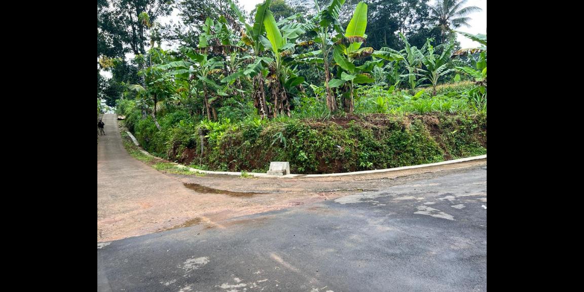 Kebun Durian Siap Berbuah Mojogedang Karanganyar Kebun Durian Siap Berbuah Mojogedang Karanganyar