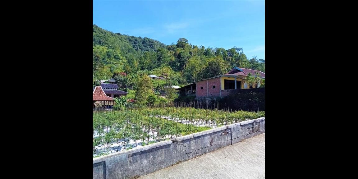 Tanah Datar Dekat Sungai Pegunungan Kemuning Ngargoyoso Tanah Datar Dekat Sungai Pegunungan Kemuning Ngargoyoso