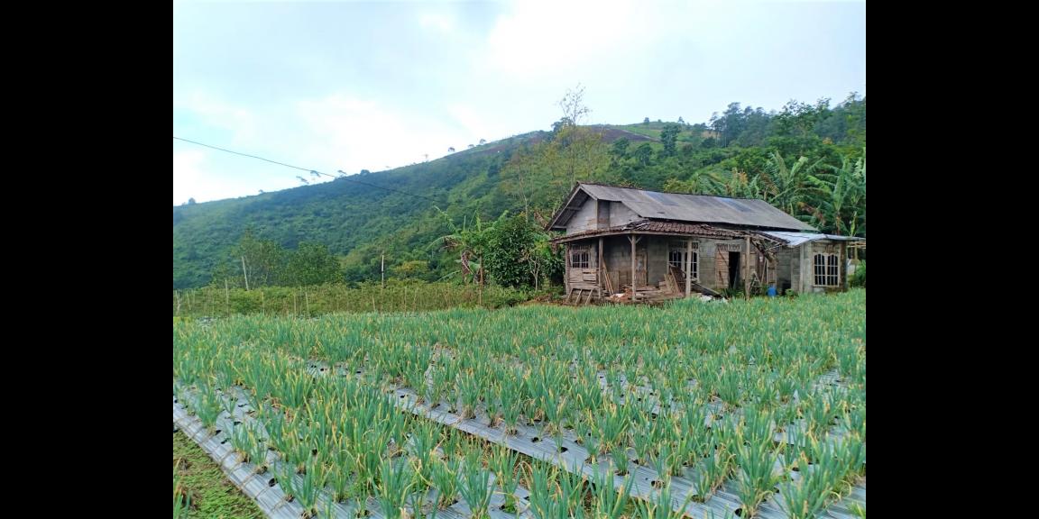 Tanah Kawasan Wisata Paralayang Kemuning Karanganyar Tanah Kawasan Wisata Paralayang Kemuning Karanganyar