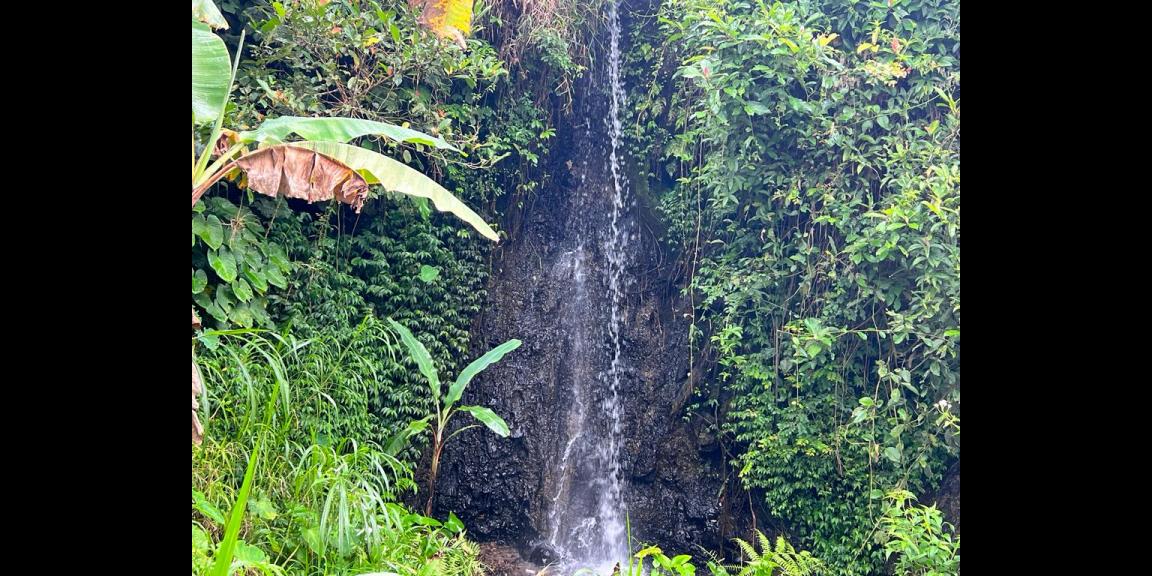 Dijual Tanah Cocok untuk Gudang Jl Raya Sragen-Karanganyar Dijual Tanah Cocok untuk Gudang Jl Raya Sragen-Karanganyar