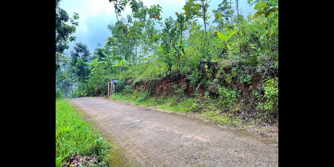 Dijual Tanah Strategis Utara Pasar Mojogedang Karanganyar Dijual Tanah Strategis Utara Pasar Mojogedang Karanganyar