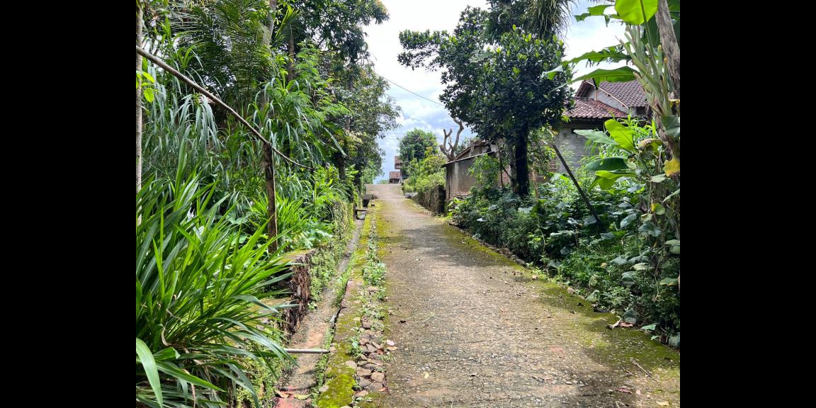 Jual Tanah Barat Pasar Mojogedang Karanganyar Jual Tanah Barat Pasar Mojogedang Karanganyar