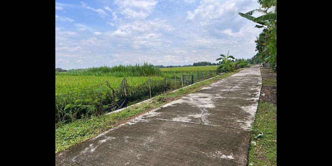 Dijual Tanah 1320m² Karangmalang Sragen Dijual Tanah 1320m² Karangmalang Sragen