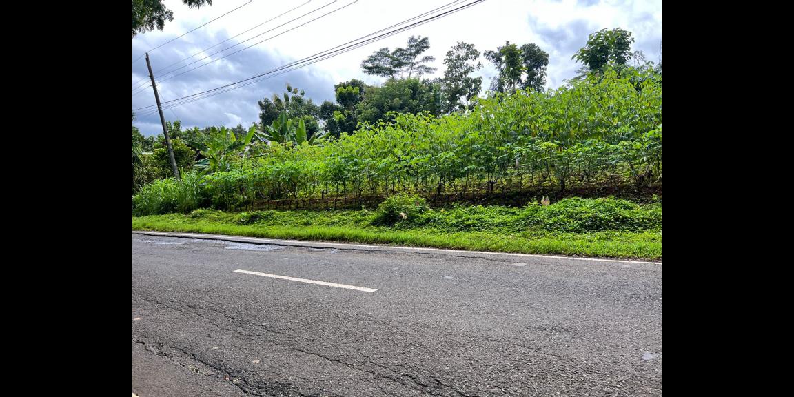 Jual Tanah Strategis Buka Usaha Mojogedang Karanganyar Jual Tanah Strategis Buka Usaha Mojogedang Karanganyar