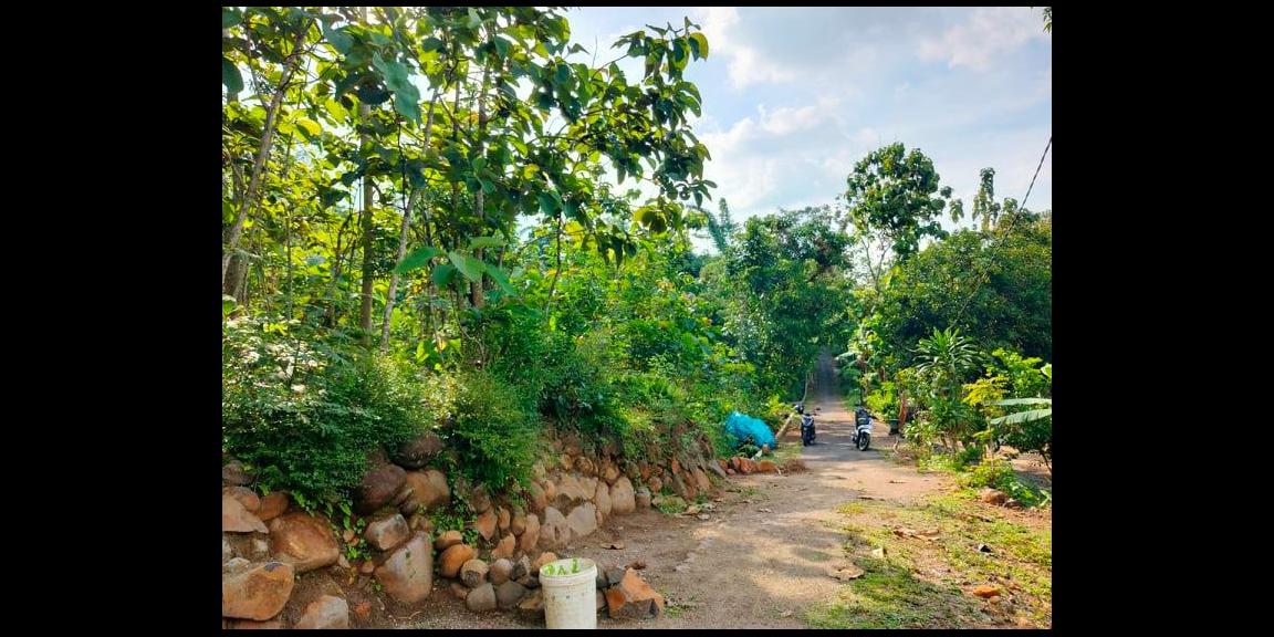 Dijual Tanah Super Datar 1500m² Kerjo Karanganyar Dijual Tanah Super Datar 1500m² Kerjo Karanganyar