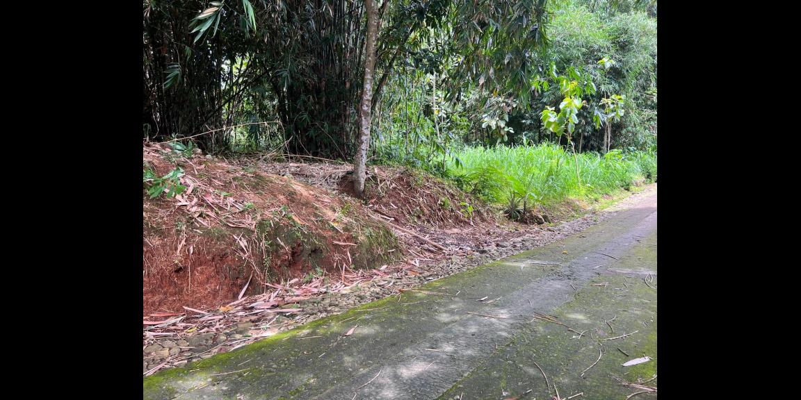 Dijual Tanah 600m² 175jt Mojogedang Karanganyar Dijual Tanah 600m² 175jt Mojogedang Karanganyar