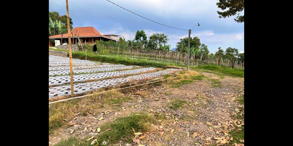 Tanah 253m² Cocok Dibangun Villa Kemuning Ngargoyoso Tanah 253m² Cocok Dibangun Villa Kemuning Ngargoyoso