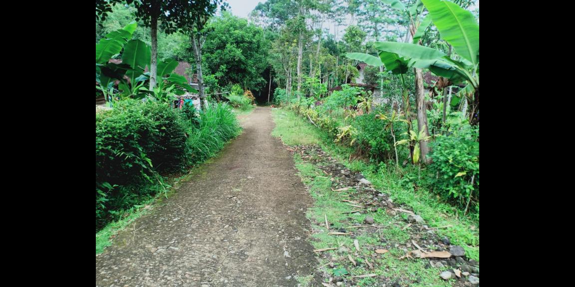 Tanah 408m² 150jt Karangpandan Karanganyar Tanah 408m² 150jt Karangpandan Karanganyar