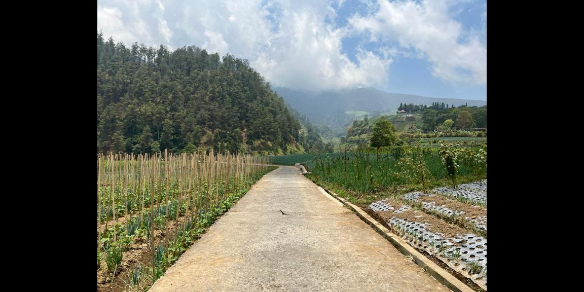 Tanah 400m2 Dekat Wisata Balekambang Tawangmangu Tanah 400m2 Dekat Wisata Balekambang Tawangmangu