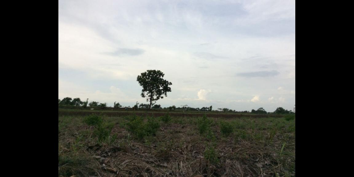 Jual Cepat Tanah Industri Murah Kawasan Raya Mantup Jual Cepat Tanah Industri Murah Kawasan Raya Mantup