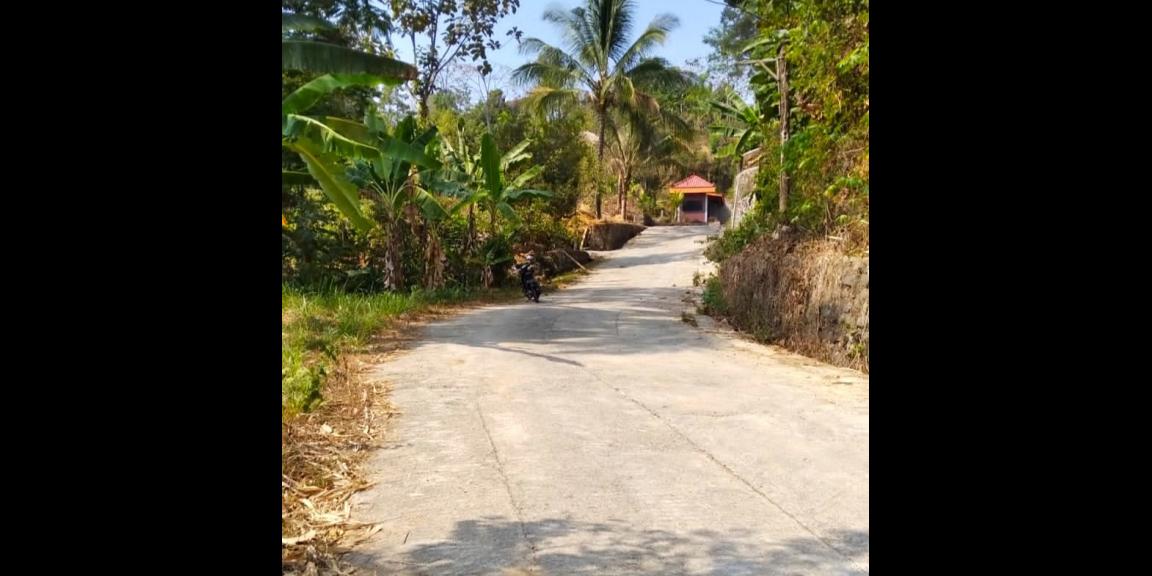 Kebun Durian Produktif Ngargoyoso, Karanganyar Kebun Durian Produktif Ngargoyoso, Karanganyar