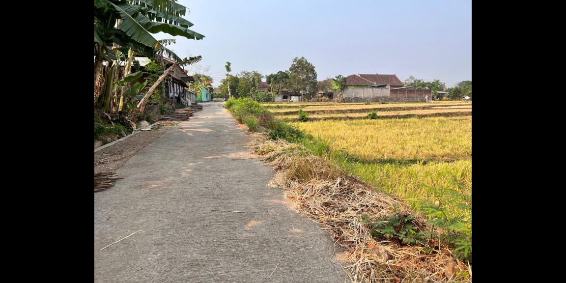 Jual Sawah 845m² 225 Juta Kedawung Sragen Jual Sawah 845m² 225 Juta Kedawung Sragen