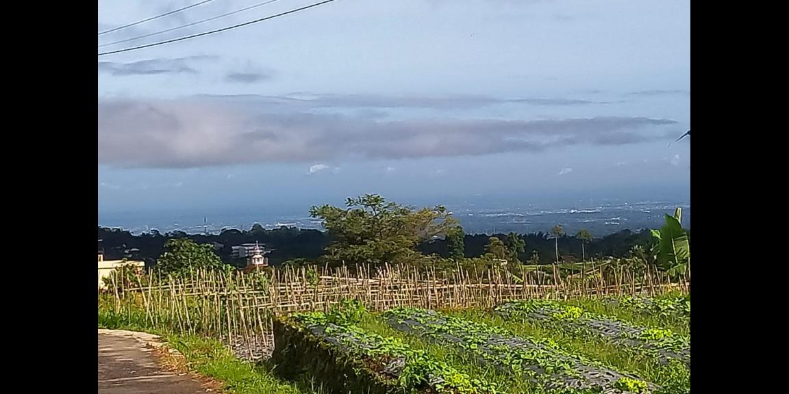 Jual Tanah Dekat Isykarima Karangpandan Karanganyar Jual Tanah Dekat Isykarima Karangpandan Karanganyar