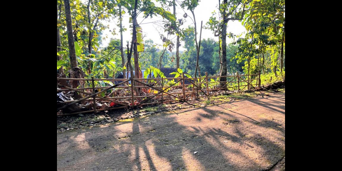 Dijual Tanah Asri 135 Juta Kedawung Sragen Dijual Tanah Asri 135 Juta Kedawung Sragen