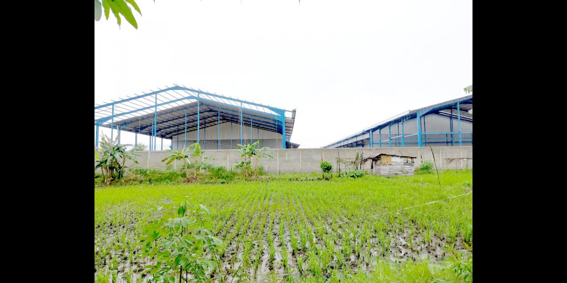 Tanah Raya 2, Sui Raya Dalam, Pontianak, Kalimantan Barat Tanah Raya 2, Sui Raya Dalam, Pontianak, Kalimantan Barat