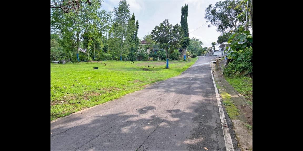 Tanah Kebun Durian 1015m² Hanya 200Jt Karanganyar Tanah Kebun Durian 1015m² Hanya 200Jt Karanganyar