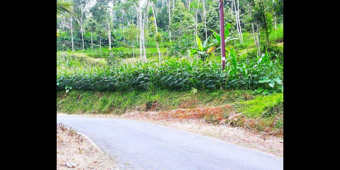 Tanah tepi Jl Kerjo-Sambirejo Kerjo Karanganyar Tanah tepi Jl Kerjo-Sambirejo Kerjo Karanganyar