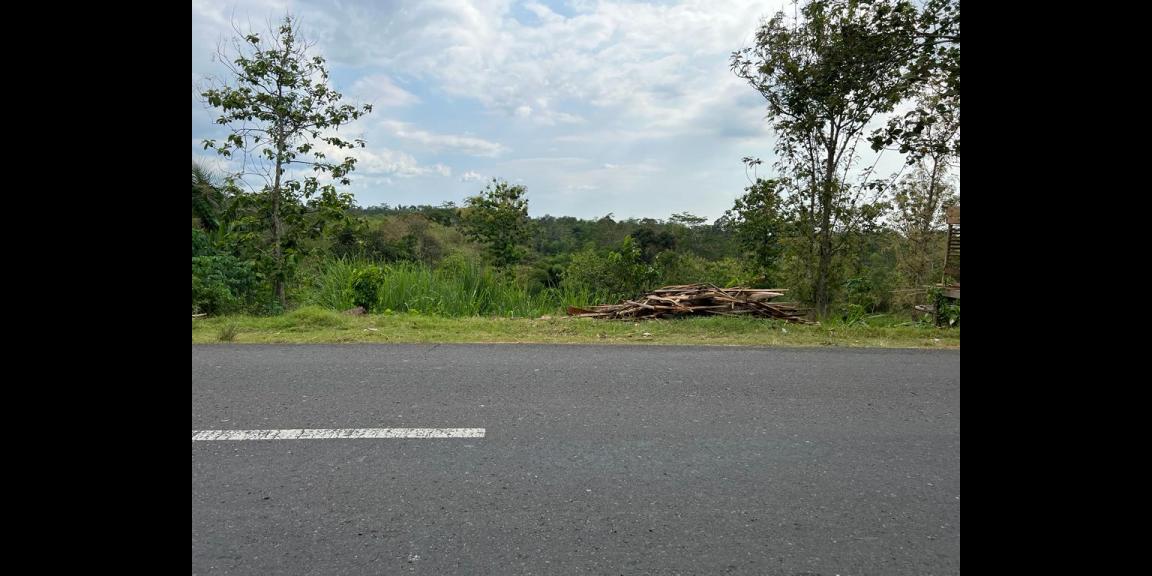 Tanah 1,4 Hektar Tepi Jl Raya Karangpandan, Karanganyar Tanah 1,4 Hektar Tepi Jl Raya Karangpandan, Karanganyar