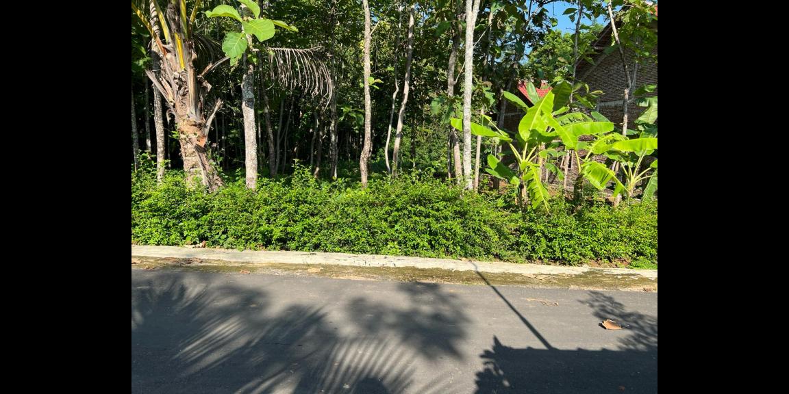 Tanah Strategis 250 Juta Utara Kantor Kecamatan Kerjo Tanah Strategis 250 Juta Utara Kantor Kecamatan Kerjo