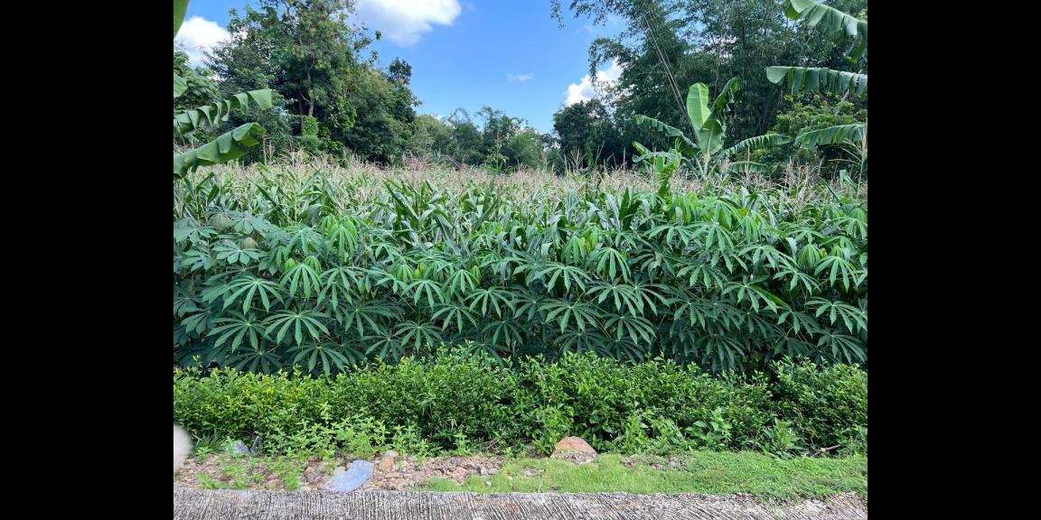 Tanah Siap Bangun Hanya 175 Juta Karanganyar Tanah Siap Bangun Hanya 175 Juta Karanganyar